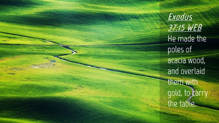 Picture 04 - Exodus 37:15 WEB Desktop Wallpaper - He made the poles of acacia wood, and overlaid - Desktop Bible Verse Wallpaper