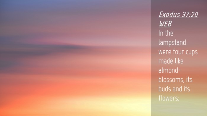 Picture 04 - Exodus 37:20 WEB Desktop Wallpaper - In the lampstand were four cups made like - Desktop Bible Verse Wallpaper
