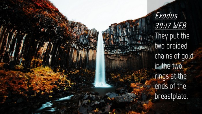 Picture 04 - Exodus 39:17 WEB Desktop Wallpaper - They put the two braided chains of gold in the - Desktop Bible Verse Wallpaper
