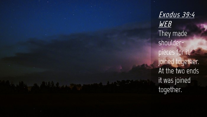 Picture 04 - Exodus 39:4 WEB Desktop Wallpaper - They made shoulder-pieces for it, joined - Desktop Bible Verse Wallpaper