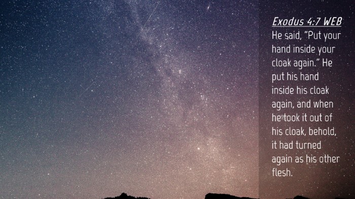 Picture 04 - Exodus 4:7 WEB Desktop Wallpaper - He said, 