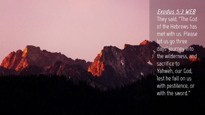 Picture 04 - Exodus 5:3 WEB Desktop Wallpaper - They said, 