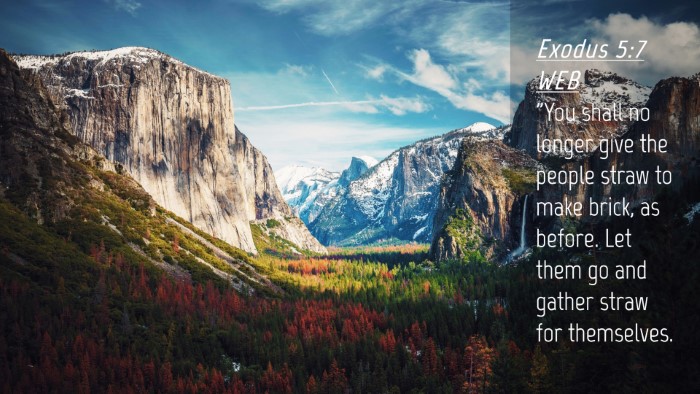 Picture 04 - Exodus 5:7 WEB Desktop Wallpaper - 
