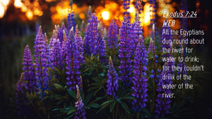 Picture 04 - Exodus 7:24 WEB Desktop Wallpaper - All the Egyptians dug round about the river for - Desktop Bible Verse Wallpaper