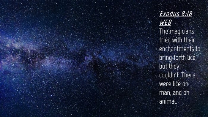 Picture 04 - Exodus 8:18 WEB Desktop Wallpaper - The magicians tried with their enchantments to - Desktop Bible Verse Wallpaper