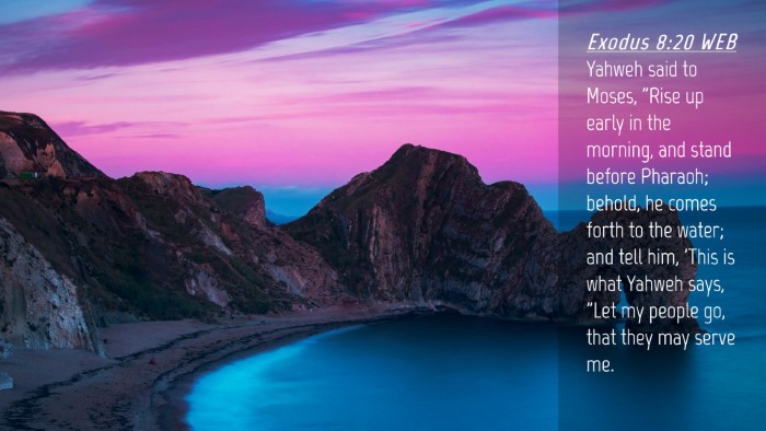 Picture 04 - Exodus 8:20 WEB Desktop Wallpaper - Yahweh said to Moses, 