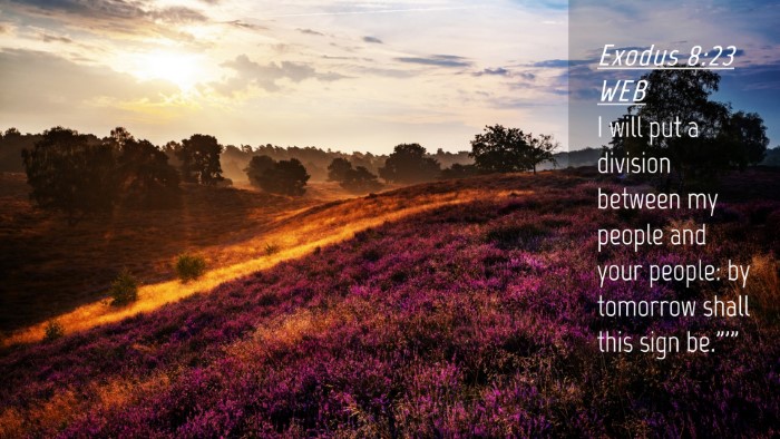 Picture 04 - Exodus 8:23 WEB Desktop Wallpaper - I will put a division between my people and your - Desktop Bible Verse Wallpaper