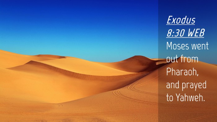 Picture 04 - Exodus 8:30 WEB Desktop Wallpaper - Moses went out from Pharaoh, and prayed to - Desktop Bible Verse Wallpaper