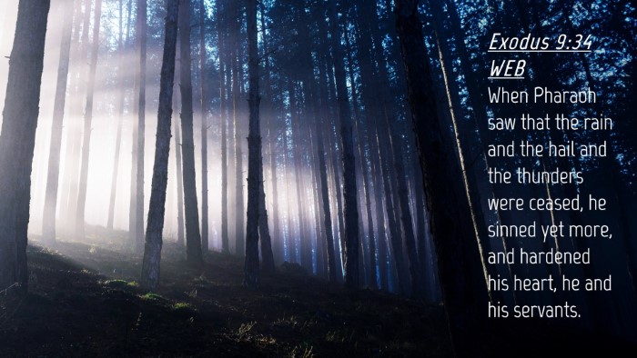 Picture 04 - Exodus 9:34 WEB Desktop Wallpaper - When Pharaoh saw that the rain and the hail and - Desktop Bible Verse Wallpaper