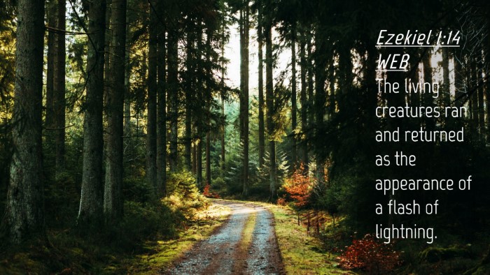 Picture 04 - Ezekiel 1:14 WEB Desktop Wallpaper - The living creatures ran and returned as the - Desktop Bible Verse Wallpaper
