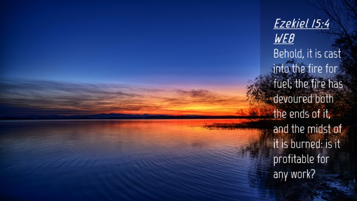 Picture 04 - Ezekiel 15:4 WEB Desktop Wallpaper - Behold, it is cast into the fire for fuel; the - Desktop Bible Verse Wallpaper