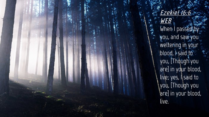 Picture 04 - Ezekiel 16:6 WEB Desktop Wallpaper - When I passed by you, and saw you weltering in - Desktop Bible Verse Wallpaper