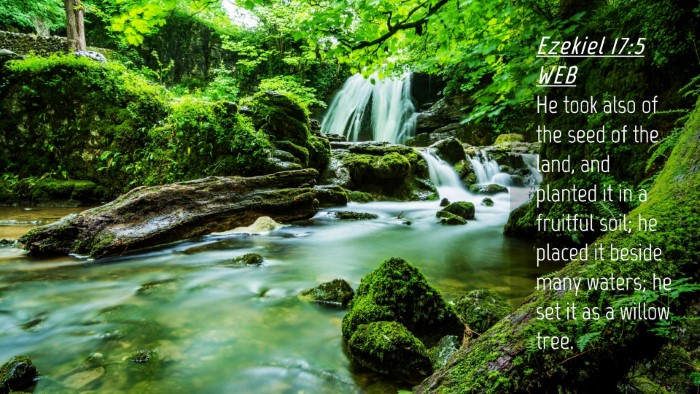 Picture 04 - Ezekiel 17:5 WEB Desktop Wallpaper - He took also of the seed of the land, and planted - Desktop Bible Verse Wallpaper