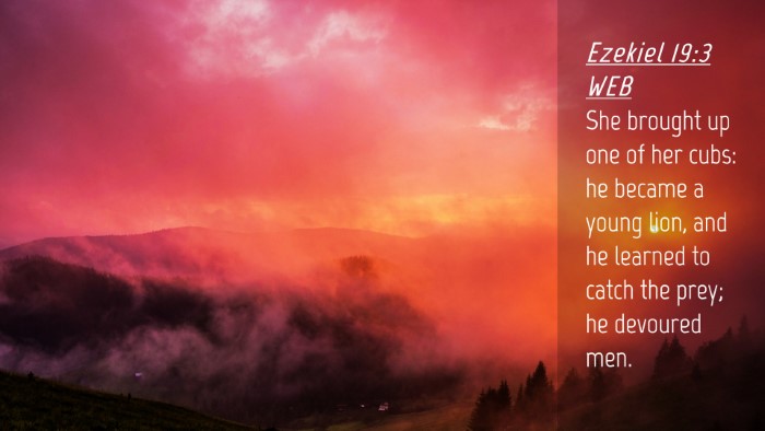 Picture 04 - Ezekiel 19:3 WEB Desktop Wallpaper - She brought up one of her cubs: he became a young - Desktop Bible Verse Wallpaper