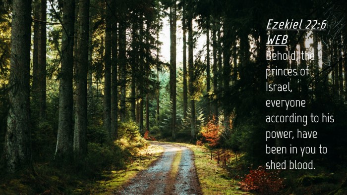 Picture 04 - Ezekiel 22:6 WEB Desktop Wallpaper - Behold, the princes of Israel, everyone according - Desktop Bible Verse Wallpaper