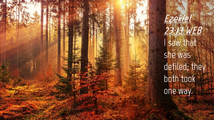 Picture 04 - Ezekiel 23:13 WEB Desktop Wallpaper - I saw that she was defiled; they both took one - Desktop Bible Verse Wallpaper