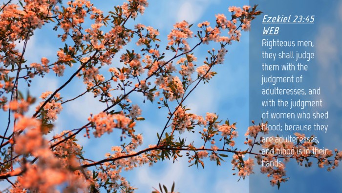 Picture 04 - Ezekiel 23:45 WEB Desktop Wallpaper - Righteous men, they shall judge them with the - Desktop Bible Verse Wallpaper