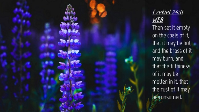 Picture 04 - Ezekiel 24:11 WEB Desktop Wallpaper - Then set it empty on the coals of it, that it may - Desktop Bible Verse Wallpaper