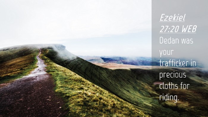 Picture 04 - Ezekiel 27:20 WEB Desktop Wallpaper - Dedan was your trafficker in precious cloths for - Desktop Bible Verse Wallpaper