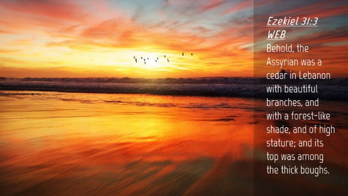 Picture 04 - Ezekiel 31:3 WEB Desktop Wallpaper - Behold, the Assyrian was a cedar in Lebanon with - Desktop Bible Verse Wallpaper
