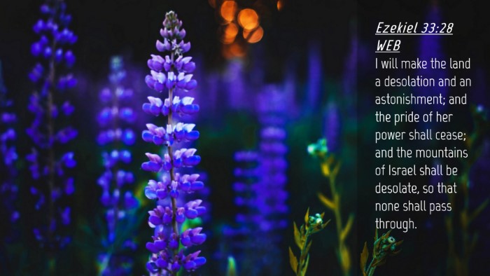 Picture 04 - Ezekiel 33:28 WEB Desktop Wallpaper - I will make the land a desolation and an - Desktop Bible Verse Wallpaper