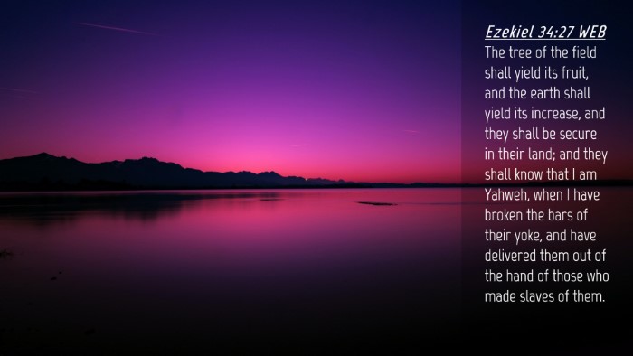 Picture 04 - Ezekiel 34:27 WEB Desktop Wallpaper - The tree of the field shall yield its fruit, and - Desktop Bible Verse Wallpaper