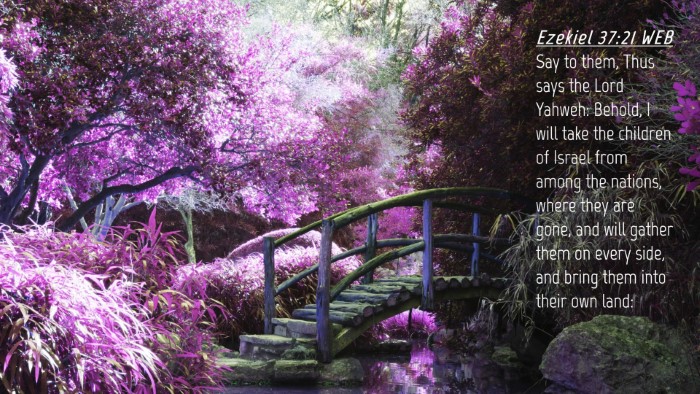 Picture 04 - Ezekiel 37:21 WEB Desktop Wallpaper - Say to them, Thus says the Lord Yahweh: Behold, I - Desktop Bible Verse Wallpaper