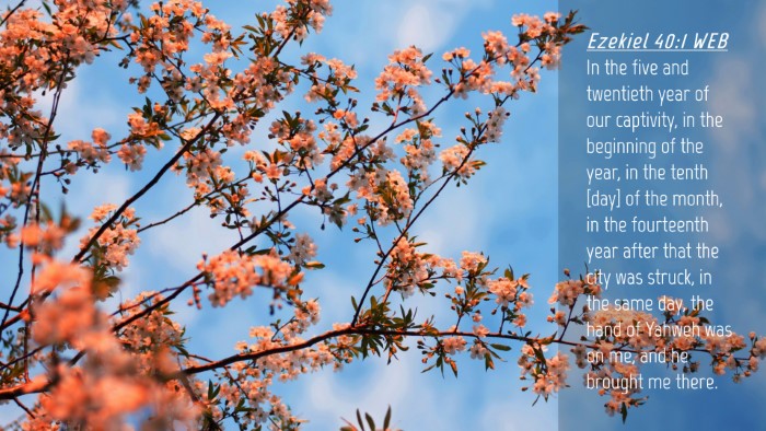 Picture 04 - Ezekiel 40:1 WEB Desktop Wallpaper - In the five and twentieth year of our captivity, - Desktop Bible Verse Wallpaper