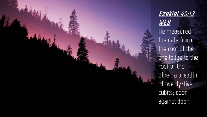 Picture 04 - Ezekiel 40:13 WEB Desktop Wallpaper - He measured the gate from the roof of the one - Desktop Bible Verse Wallpaper