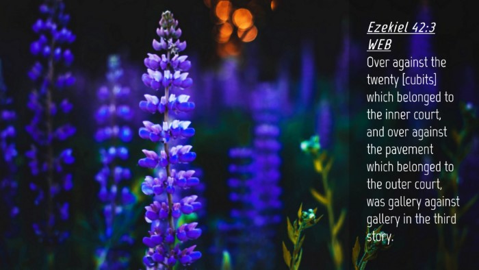 Picture 04 - Ezekiel 42:3 WEB Desktop Wallpaper - Over against the twenty [cubits] which belonged - Desktop Bible Verse Wallpaper