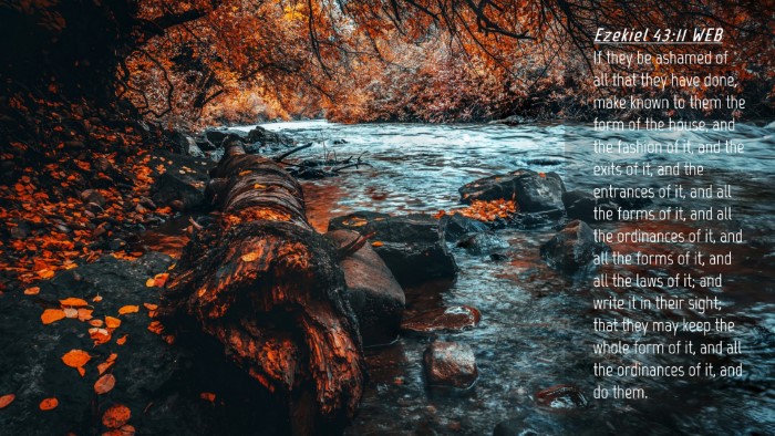 Picture 04 - Ezekiel 43:11 WEB Desktop Wallpaper - If they be ashamed of all that they have done, - Desktop Bible Verse Wallpaper