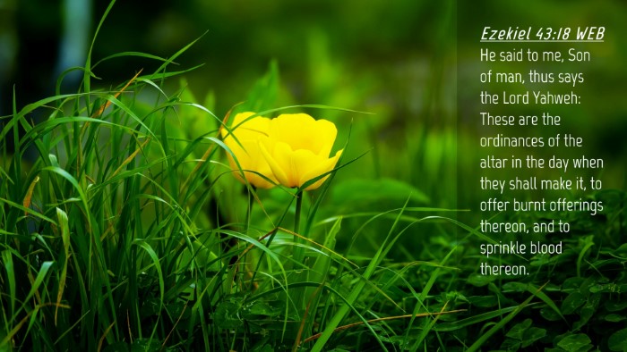 Picture 04 - Ezekiel 43:18 WEB Desktop Wallpaper - He said to me, Son of man, thus says the Lord - Desktop Bible Verse Wallpaper