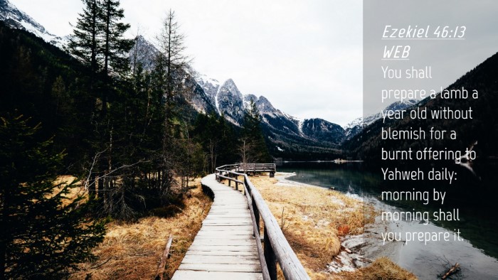 Picture 04 - Ezekiel 46:13 WEB Desktop Wallpaper - You shall prepare a lamb a year old without - Desktop Bible Verse Wallpaper