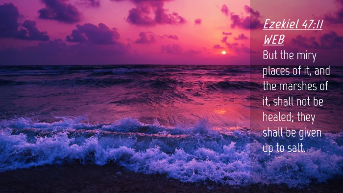 Picture 04 - Ezekiel 47:11 WEB Desktop Wallpaper - But the miry places of it, and the marshes of it, - Desktop Bible Verse Wallpaper