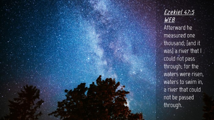 Picture 04 - Ezekiel 47:5 WEB Desktop Wallpaper - Afterward he measured one thousand; [and it was] - Desktop Bible Verse Wallpaper