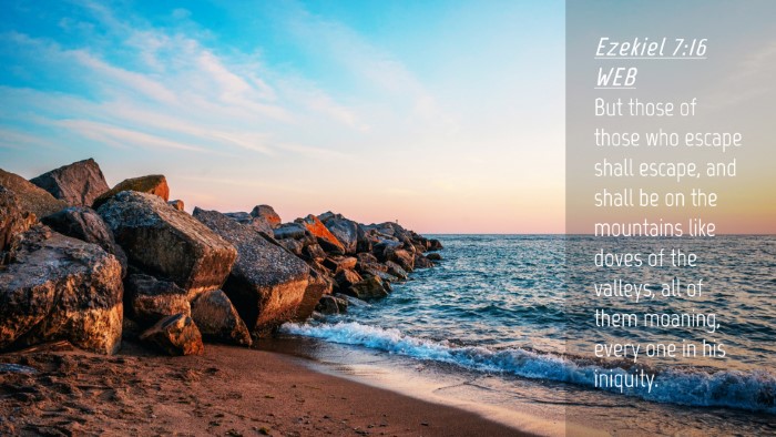 Picture 04 - Ezekiel 7:16 WEB Desktop Wallpaper - But those of those who escape shall escape, and - Desktop Bible Verse Wallpaper