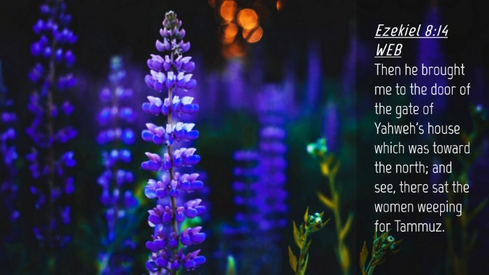 Picture 04 - Ezekiel 8:14 WEB Desktop Wallpaper - Then he brought me to the door of the gate of - Desktop Bible Verse Wallpaper