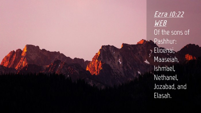 Picture 04 - Ezra 10:22 WEB Desktop Wallpaper - Of the sons of Pashhur: Elioenai, Maaseiah, - Desktop Bible Verse Wallpaper