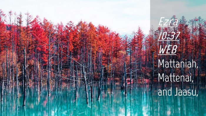 Picture 04 - Ezra 10:37 WEB Desktop Wallpaper - Mattaniah, Mattenai, and - Desktop Bible Verse Wallpaper