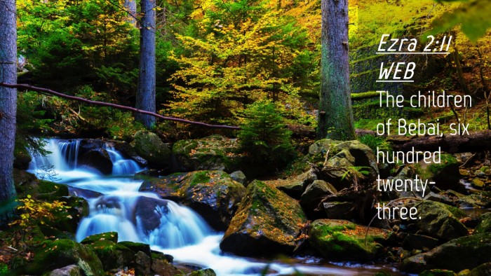 Picture 04 - Ezra 2:11 WEB Desktop Wallpaper - The children of Bebai, six hundred - Desktop Bible Verse Wallpaper