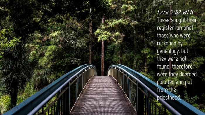 Picture 04 - Ezra 2:62 WEB Desktop Wallpaper - These sought their register [among] those who - Desktop Bible Verse Wallpaper