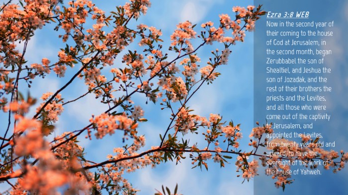 Picture 04 - Ezra 3:8 WEB Desktop Wallpaper - Now in the second year of their coming to the - Desktop Bible Verse Wallpaper