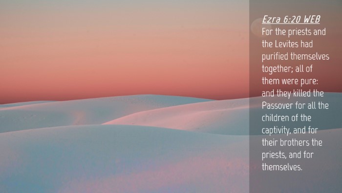 Picture 04 - Ezra 6:20 WEB Desktop Wallpaper - For the priests and the Levites had purified - Desktop Bible Verse Wallpaper