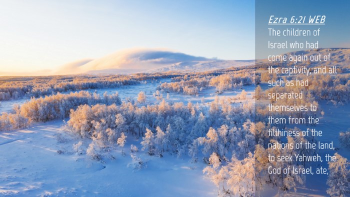 Picture 04 - Ezra 6:21 WEB Desktop Wallpaper - The children of Israel who had come again out of - Desktop Bible Verse Wallpaper