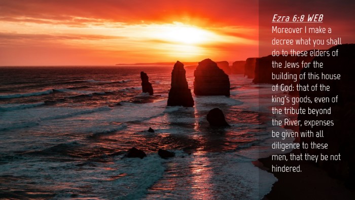 Picture 04 - Ezra 6:8 WEB Desktop Wallpaper - Moreover I make a decree what you shall do to - Desktop Bible Verse Wallpaper