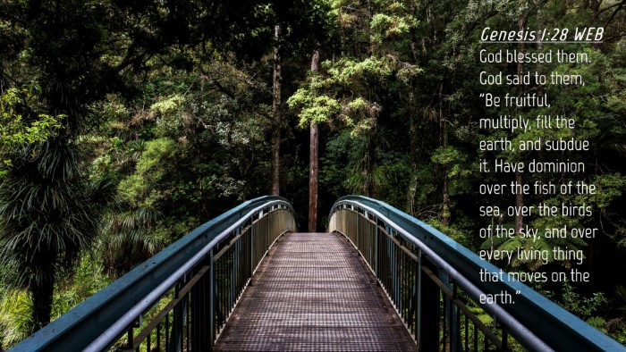 Picture 04 - Genesis 1:28 WEB Desktop Wallpaper - God blessed them. God said to them, 