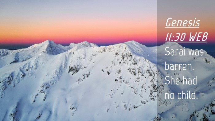 Picture 04 - Genesis 11:30 WEB Desktop Wallpaper - Sarai was barren. She had no - Desktop Bible Verse Wallpaper