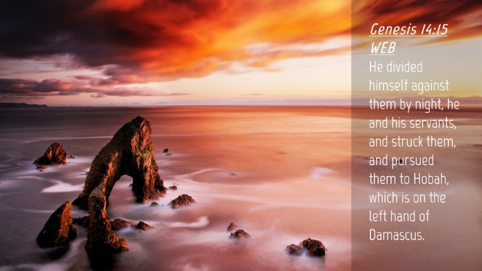 Picture 04 - Genesis 14:15 WEB Desktop Wallpaper - He divided himself against them by night, he and - Desktop Bible Verse Wallpaper