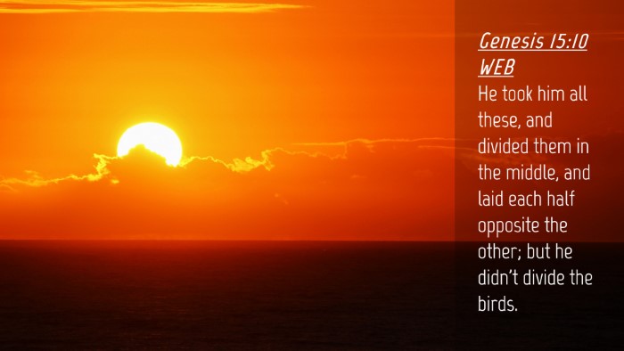 Picture 04 - Genesis 15:10 WEB Desktop Wallpaper - He took him all these, and divided them in the - Desktop Bible Verse Wallpaper