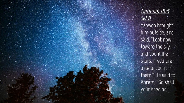 Picture 04 - Genesis 15:5 WEB Desktop Wallpaper - Yahweh brought him outside, and said, 